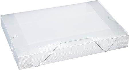 Pasta Aba El&aacute;stico Pl&aacute;stica Of&iacute;cio 55mm ACP Cristal